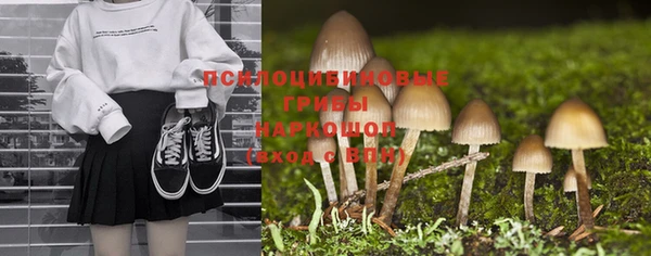 PSILOCYBIN Бородино